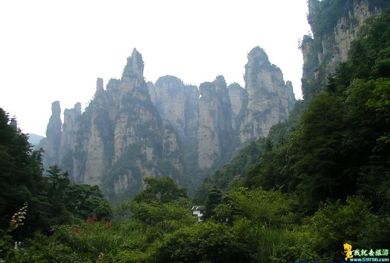 十里画廊の写真