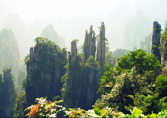 天子山自然保護区の写真