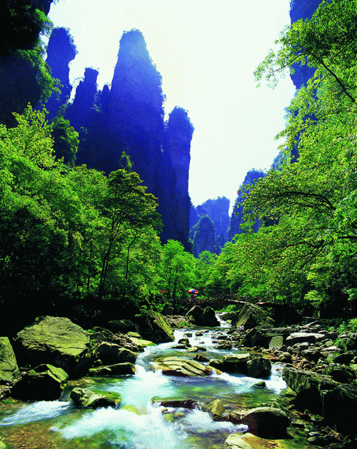 張家界国家森林公園の写真