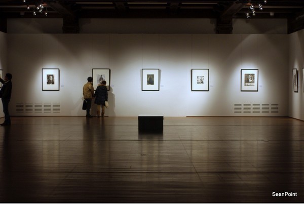 上海美术馆五写真