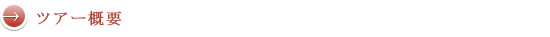 ツアー概要