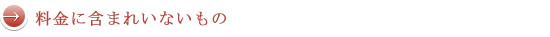 料金に含まれいないもの