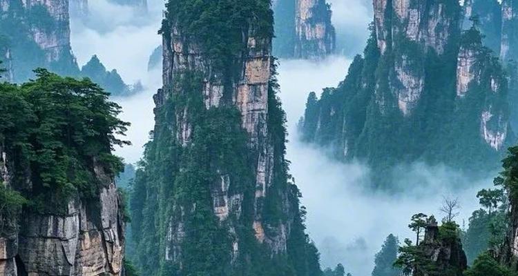 5 Days Zhangjiajie Tour from South Korea/Seoul: Mountains of Immortals, Filial Piety